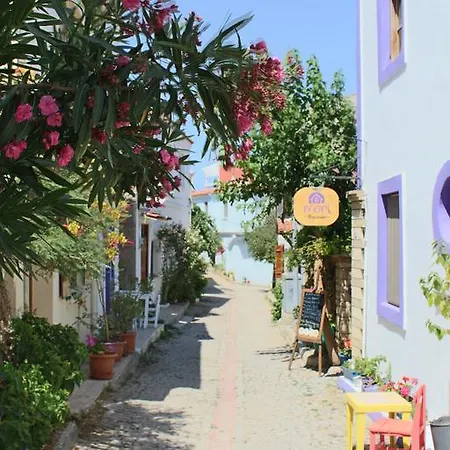 Mori Bozcaada